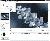 Screenshot of GdPicture Light Imaging Toolkit