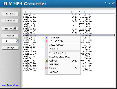 HooTech FLV MP4 Converter Screenshot