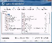 Screenshot of IGEO UNDELETE