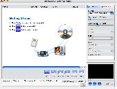 Screenshot of ImTOO DVD to MP4 Converter for Mac