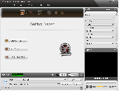 Screenshot of ImTOO MP4 Video Converter