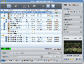 Screenshot of ImTOO Video Converter Platinum for Mac