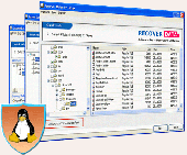 Screenshot of Linux File Recovery