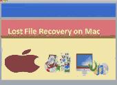 Lost File Recovery on Mac Screenshot