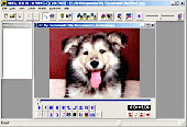 MPEG-VCR Screenshot