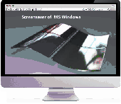 Screenshot of MS Windows Screensaver