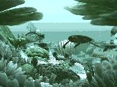 Marine Life 3D Screensaver Screenshot