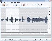 Screenshot of MediaVigor Audio Editor
