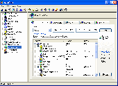 Screenshot of MegaPing