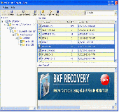 Microsoft BKF Recovery Screenshot