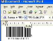Screenshot of Morovia Code11 Fontware