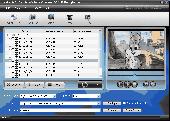 Screenshot of Nidesoft DVD to Sony XPeria Converter