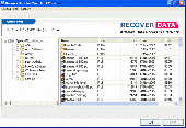 Novell Data Recovery Screenshot