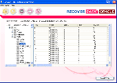 Oracle Database Recovery Screenshot
