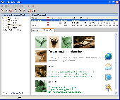 Screenshot of Parallaxis Winclip