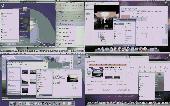 Screenshot of Parallels Desktop Windows on Mac