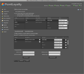 Screenshot of PointLoyalty Manager