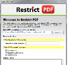 Prevent PDF Copying Screenshot
