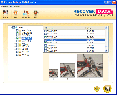 RD Digital Image Recovery Screenshot