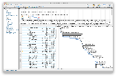 Screenshot of RationalPlan Single Project for Mac