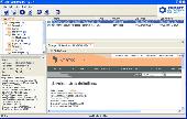 Screenshot of Right Web Monitor Pro