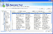 Screenshot of SQL Data Recovery Tool