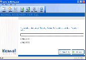 SQL Repair Tool Screenshot