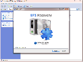 SoftAmbulance EFS Recovery Screenshot