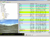 Screenshot of Softe Video Converter