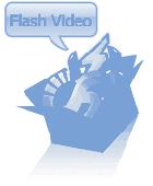 Sothink Flash Video Converter Suite Screenshot