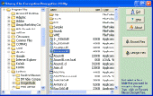 Screenshot of Strong File Encryption Decryption