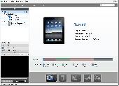 Screenshot of Tipard iPad Transfer Pro