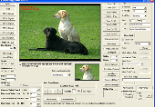 Screenshot of VISCOM TIFF Viewer ActiveX SDK