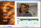Screenshot of VisiCrop