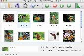 Visual LightBox Mac Screenshot