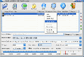 Screenshot of WMV to AVI MPEG DVD WMV Converter