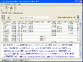 Screenshot of WebSite Auditor