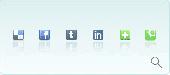 Web Social Icons Screenshot