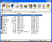 Screenshot of WinRAR