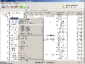 Screenshot of Windows Server Active Directory