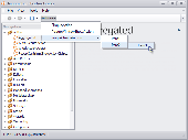 Screenshot of Xafari Framework