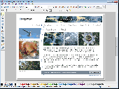 Screenshot of Xara Web Designer