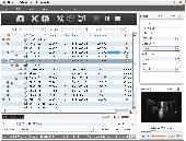 Screenshot of Xilisoft DVD Toolkit Platinum