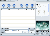 Screenshot of Xilisoft Video Converter