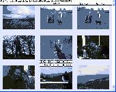 Screenshot of a - Photo Browse and Paste Portable
