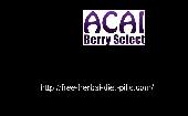 Screenshot of Acai Berry Select