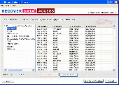 Screenshot of Access 2003 File Recovery