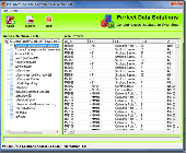 Screenshot of Access to Excel Conversion