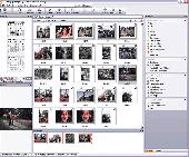 Screenshot of ACDSee 8 Photo Manager