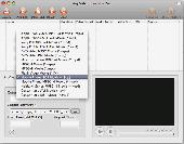 AVCLabs Video Converter for Mac Screenshot